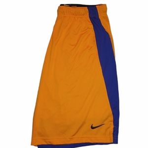 Men's Large Nike Dri Fit Shorts